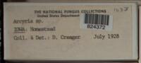 Image Associated With the Occurence
